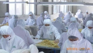 脱水蔬菜的精华 河北优质干制品背后的加工工艺