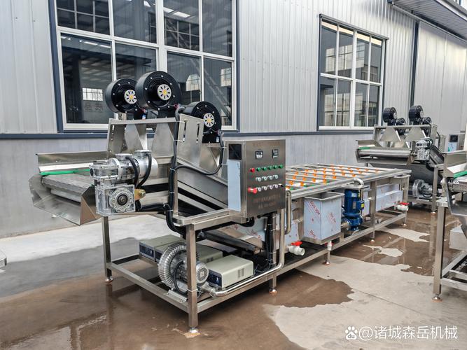 超声波蔬菜清洗机:深层洁净无残留,工厂加工省工 超声波蔬菜清洗机